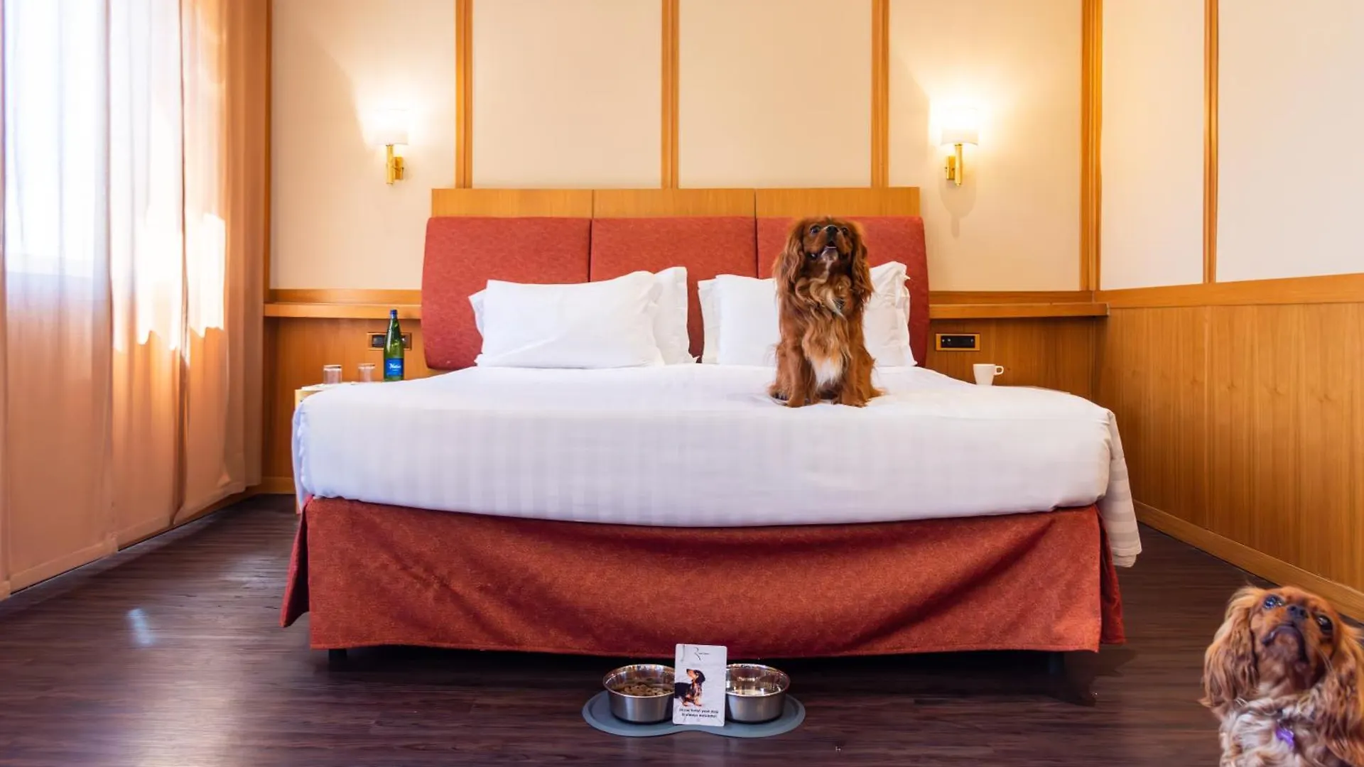 Best Western Hotel President - Colosseo Roma