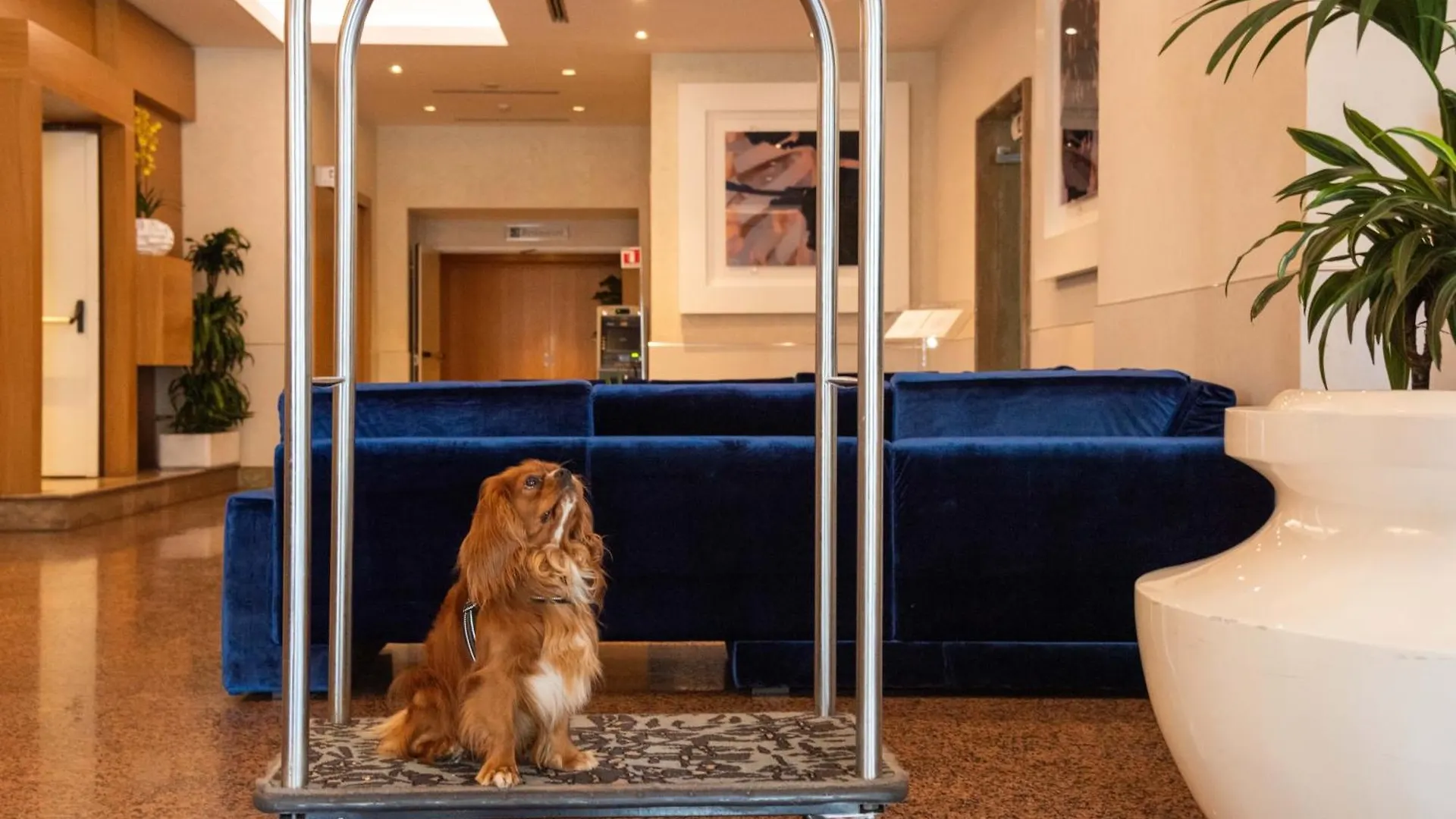 Best Western Hotel President - Colosseo Roma 4*,